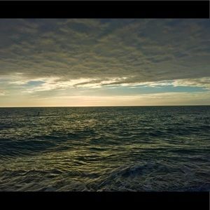 Meet your Posher, Todd